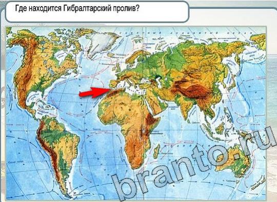 Игра Горячо-Холодно подсказки Уровень 2238 рыба лещ
