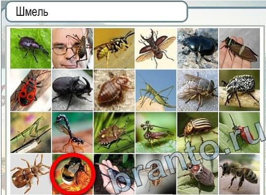 Горячо-Холодно ответы в картинках Уровень 2246 Александр Демьяненко