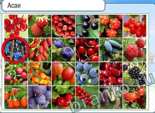 ответы на игру в одноклассниках Горячо-Холодно Уровень 2256 Голубика