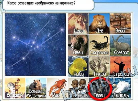 Горячо-Холодно игра ответы в одноклассниках Уровень 2257 Многоцветный лорикет