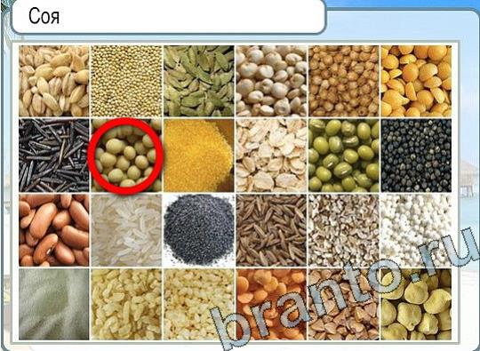 Горячо-Холодно ответы Уровень 2258 шляпа Клош