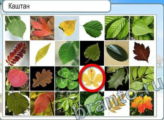 Горячо-Холодно игра подсказки Уровень 2264