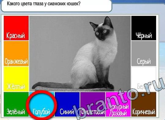 Подсказки Горячо-Холодно Уровень 2282