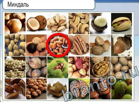 Решения на игру Горячо-Холодно Уровень 2283 автор Мёртвые души фото