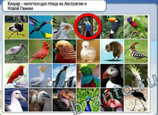 ответы к игре Горячо-Холодно Уровень 2285 Московский Кремль