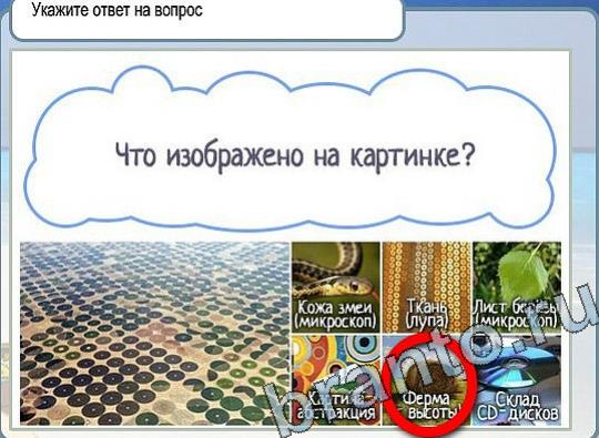 ответы на игру в одноклассниках Горячо-Холодно Уровень 2286 Голубика