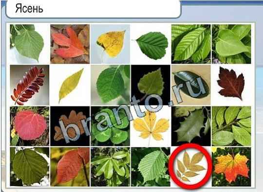 Горячо-Холодно игра помощь Уровень 2295 Наташа Королёва