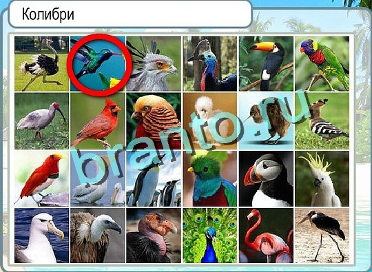 Помощь на игру Горячо-Холодно Уровень 2374 Кузя