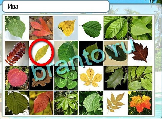 Горячо-Холодно игра помощь Уровень 2385 Наташа Королёва