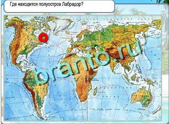 игра Горячо-Холодно помощь Уровень 2389