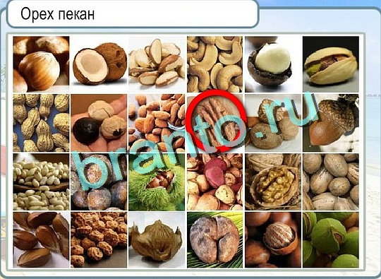 Горячо-Холодно ответы Уровень 2408 шляпа Клош