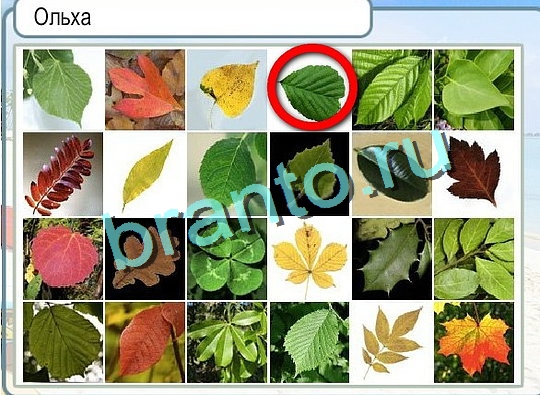 Горячо-Холодно игра подсказки Уровень 2414