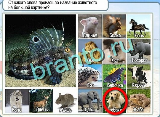 Игра Горячо-Холодно подсказки Уровень 2418 рыба лещ