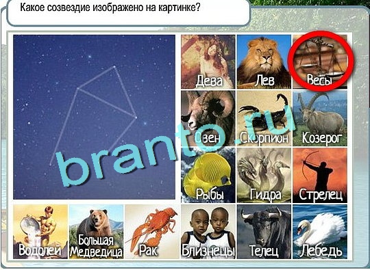 Горячо-Холодно игра ответы в одноклассниках Уровень 2467 Многоцветный лорикет