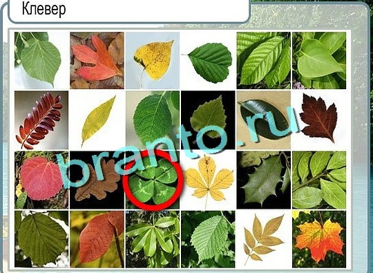 Горячо-Холодно игра подсказки Уровень 2474