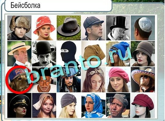 Горячо-Холодно игра помощь Уровень 2475 Наташа Королёва