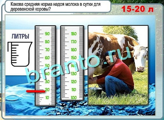 Горячо-Холодно решения Уровень 2482 Урал-4320-0111-41