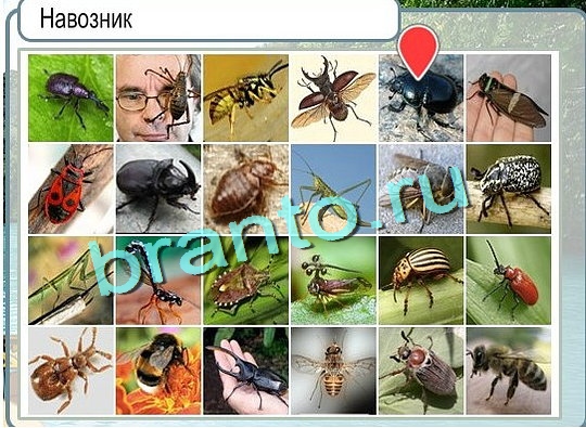 Горячо-Холодно игра подсказки Уровень 2484 знак родившегося 8 марта