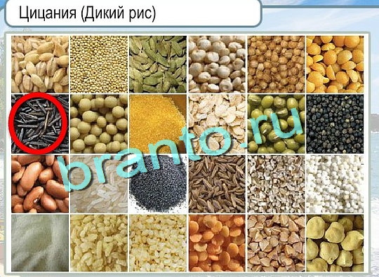 Горячо-Холодно ответы Уровень 2498 шляпа Клош