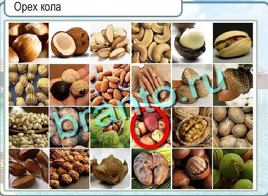 Горячо-Холодно ответы Уровень 2588 шляпа Клош