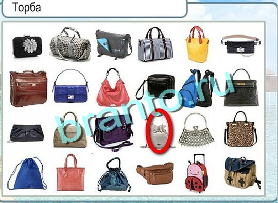 Игра Горячо-Холодно ответы Уровень 2607