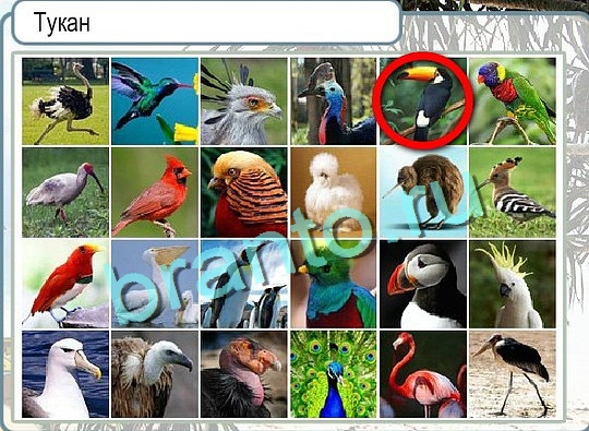 Решения на игру Горячо-Холодно Уровень 2613 автор Мёртвые души фото