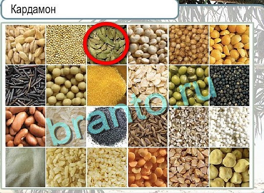 ответы на игру в одноклассниках Горячо-Холодно Уровень 2616 Голубика