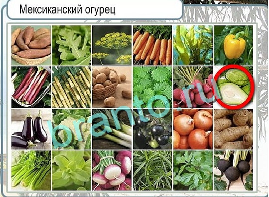 Горячо-Холодно ответы Уровень 2618 шляпа Клош