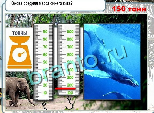 Горячо-Холодно решения Уровень 2632 Урал-4320-0111-41
