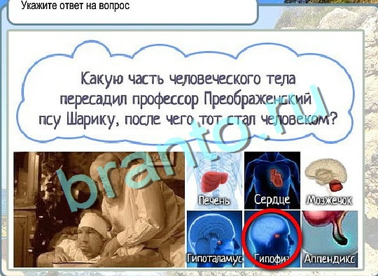 Помощь на игру Горячо-Холодно Уровень 2644 Кузя