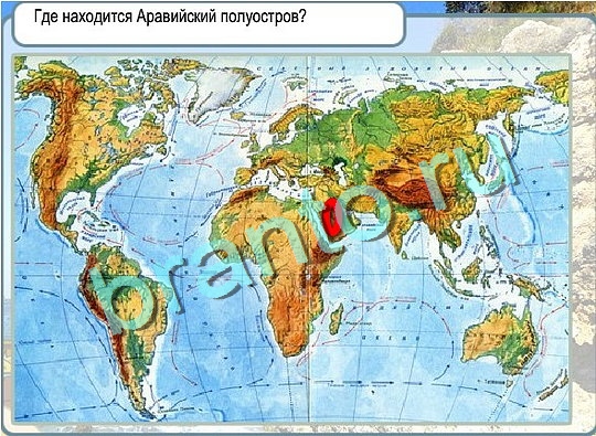 Игра Горячо-Холодно ответы Уровень 2657 бабочка Адмирал