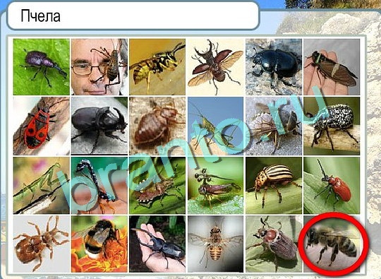 Горячо-Холодно игра подсказки Уровень 2664 знак родившегося 8 марта