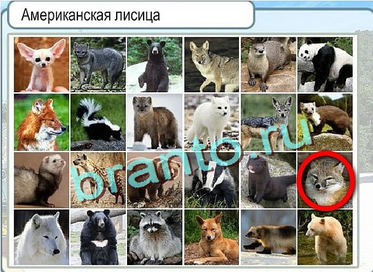 ответы к игре Горячо-Холодно Уровень 2735 Московский Кремль