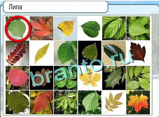 Горячо-Холодно игра подсказки Уровень 2744