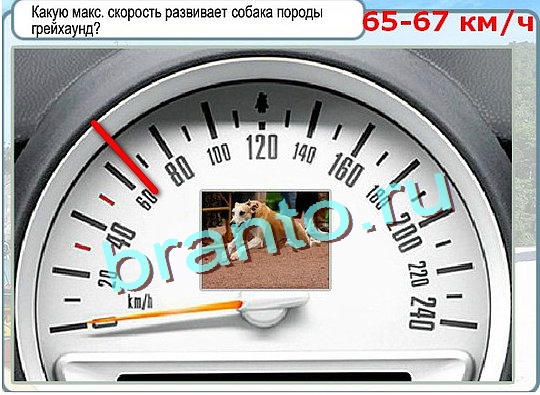 Игра Горячо-Холодно ответы Уровень 2747 бабочка Адмирал