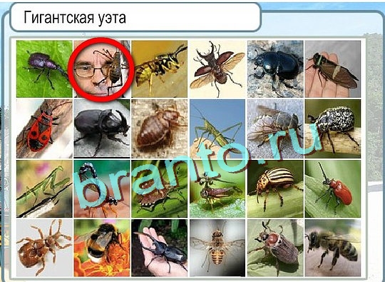 Игра Горячо-Холодно ответы Уровень 2757