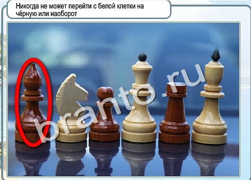 игра Горячо-Холодно помощь Уровень 2989