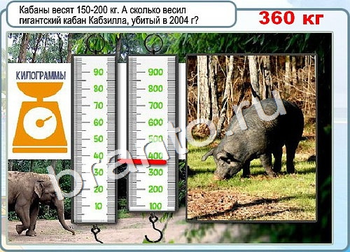 Горячо-Холодно решения Уровень 2992 Урал-4320-0111-41