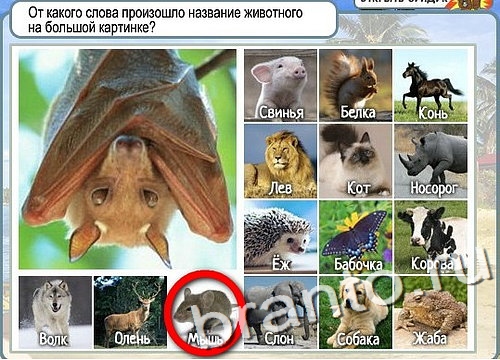 Подсказки Горячо-Холодно Уровень 2822