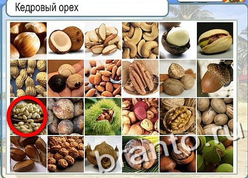 Решения на игру Горячо-Холодно Уровень 2823 автор Мёртвые души фото