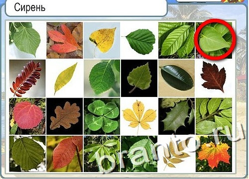 Горячо-Холодно игра подсказки Уровень 2834