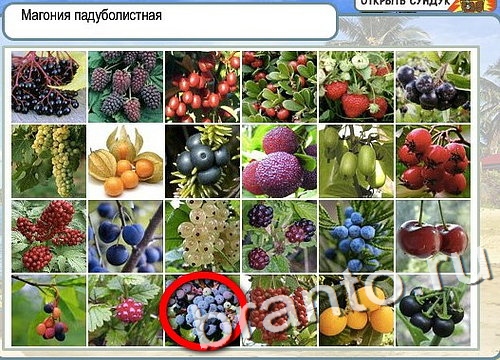 Горячо-Холодно ответы в картинках Уровень 2836 Черногория