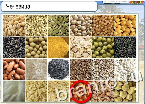 Горячо-Холодно игра помощь Уровень 2845 укажите марку авто