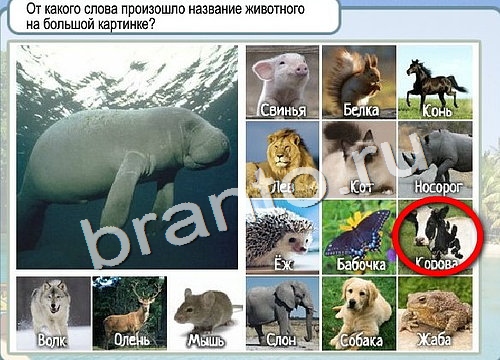 Решения на игру Горячо-Холодно Уровень 2943 автор Мёртвые души фото