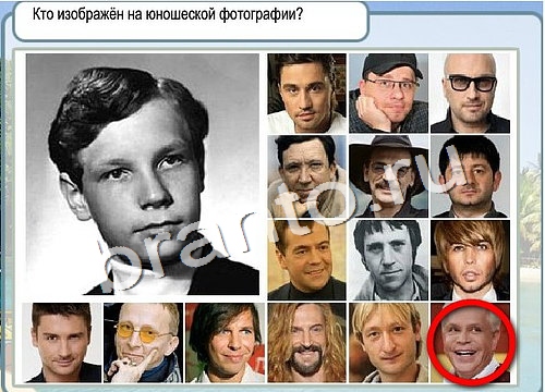 Горячо-Холодно игра ответы в одноклассниках Уровень 2947 Многоцветный лорикет