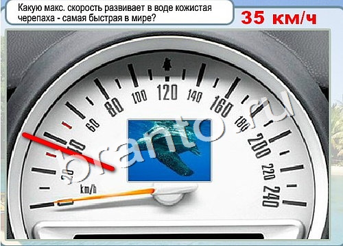 Горячо-Холодно подсказки Уровень 2949