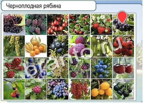 Горячо-Холодно игра ответы Уровень 2953