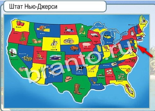 Игра Горячо-Холодно подсказки Уровень 2968 Штат Нью-Джерси