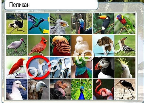 Решения на игру Горячо-Холодно Уровень 3003 автор Мёртвые души фото