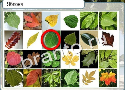 Горячо-Холодно игра подсказки Уровень 3014